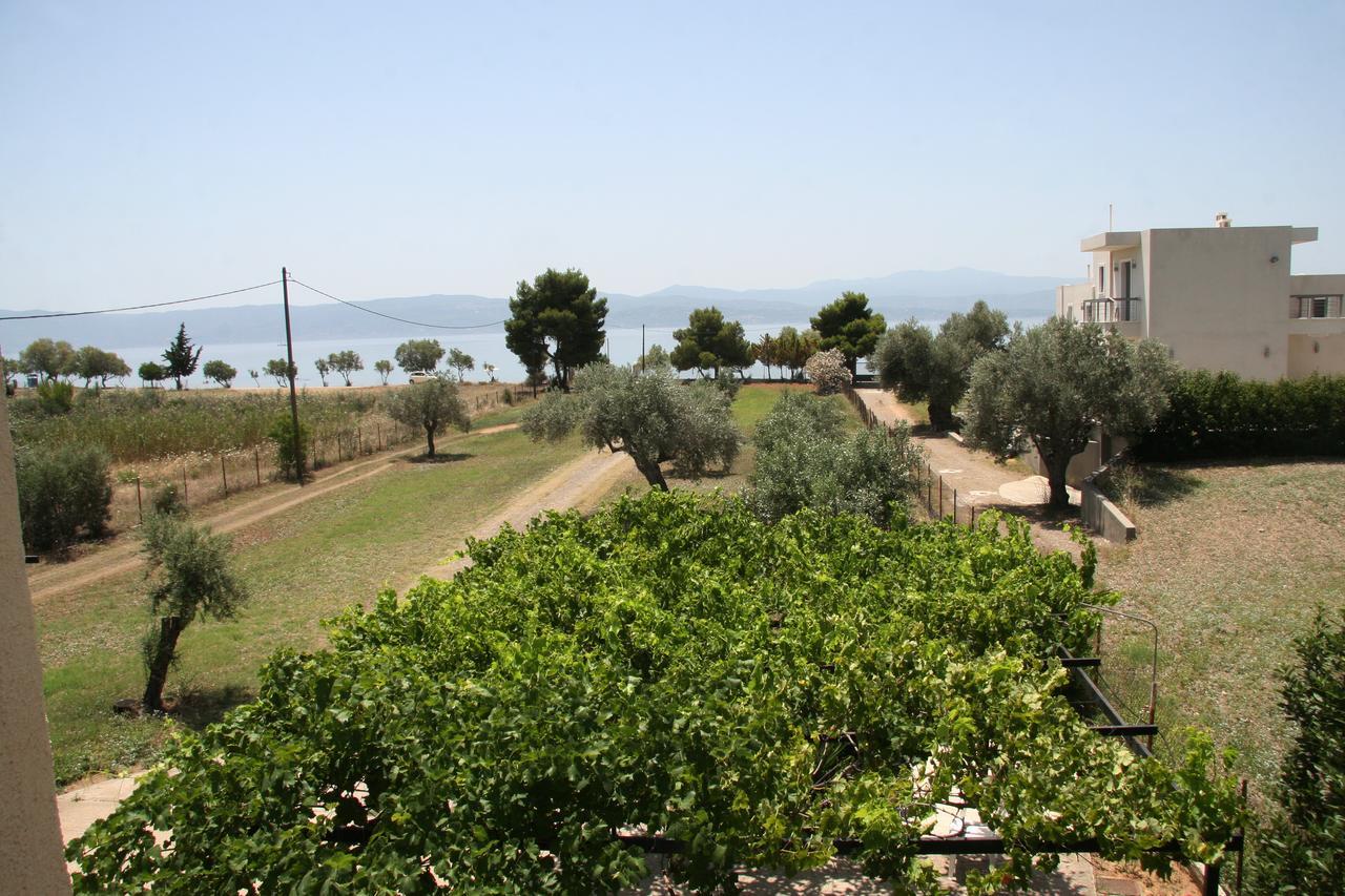 Villa Vlichos Amarynthos Extérieur photo