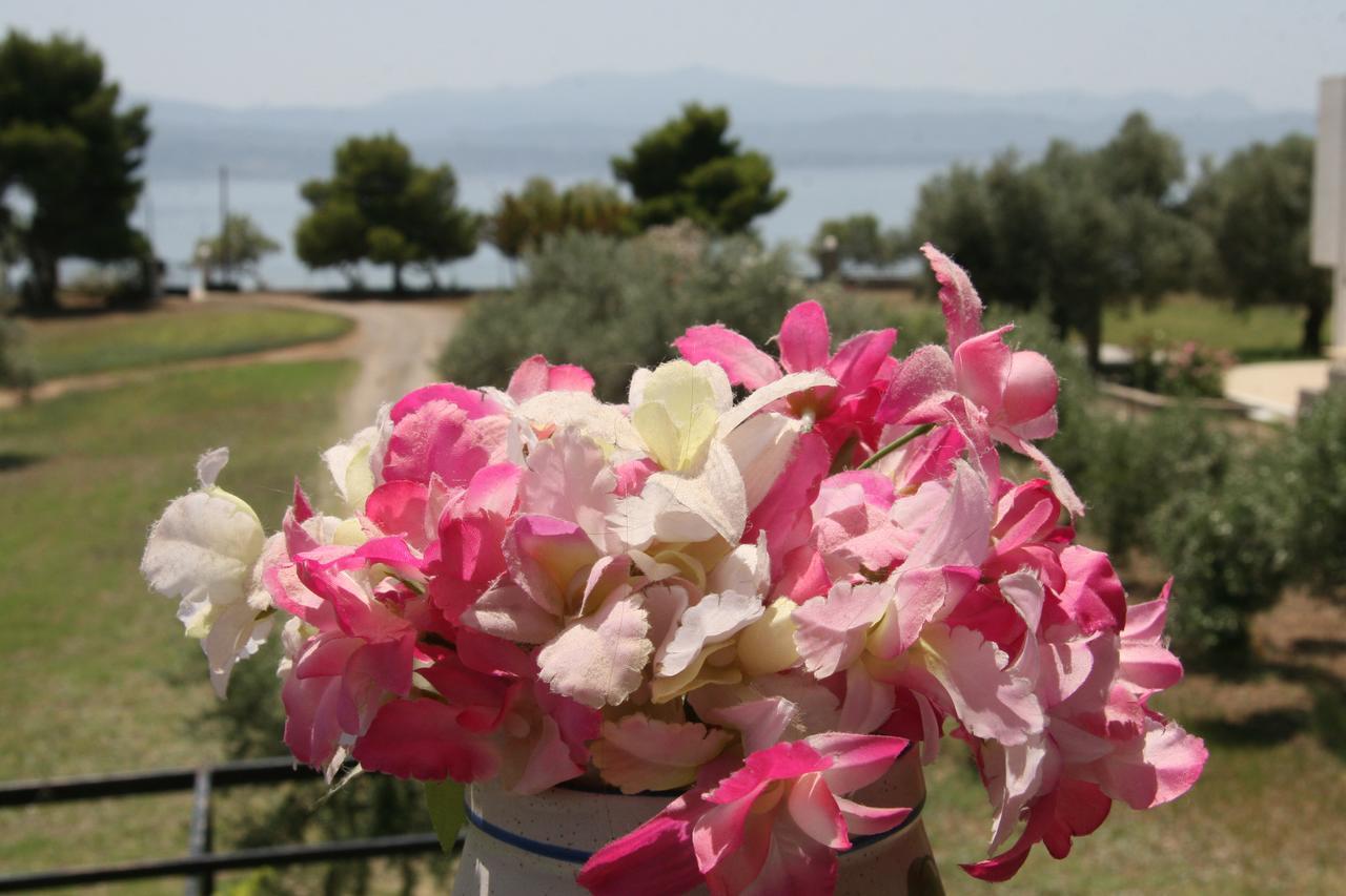 Villa Vlichos Amarynthos Extérieur photo